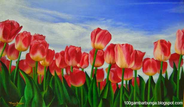  Gambar  Lukisan Pemandangan Bunga  Tulip di Belanda Gambar  