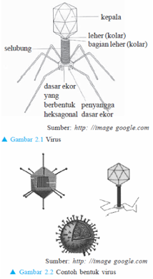 Ciri-Ciri (Ukuran dan Bentuk) Tubuh Virus