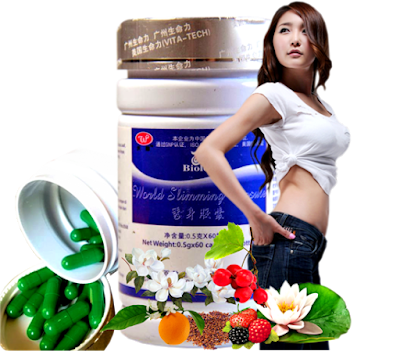 obat diet wsc biolo