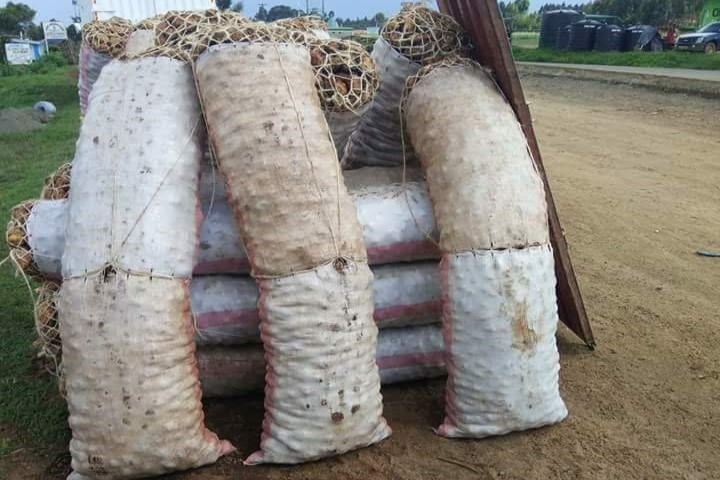The culture of using sacks, wooden crates, and containers as a measure of weight for farm produce