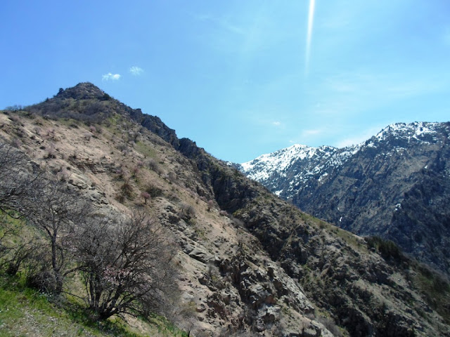 Hiking to Upper Chayka, Varzob Gorge, Mountains of Tajikistan