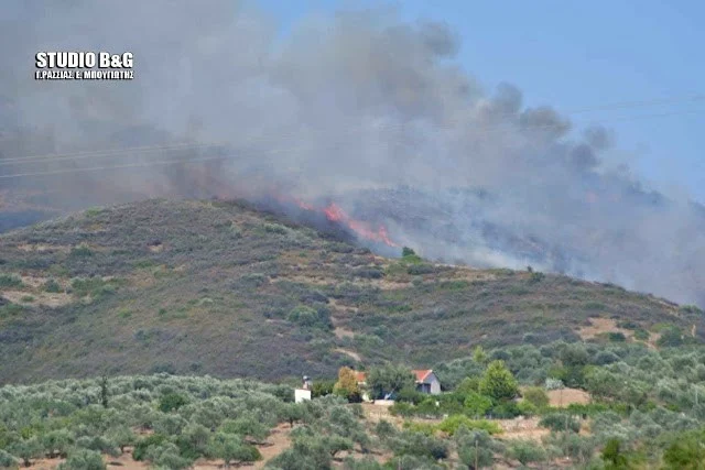 Αργολίδα: Πυρκαγιά στο Μοναστηράκι 