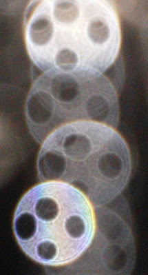 button-like orbs