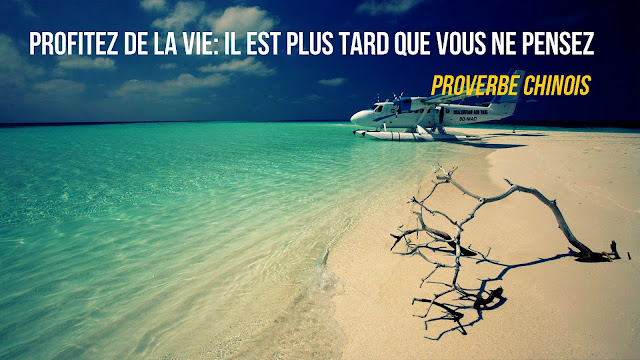 citation courte