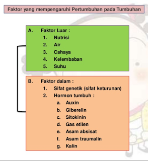 faktor pertumbuhan, tanaman, tumbuhan.