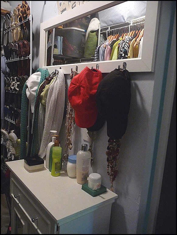 2012 Closet BEFORE Purge 006