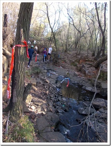 Stream crossing