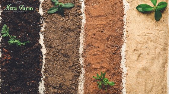 كيف نحافظ على خصوبة التربة