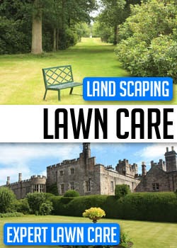 trusted lawn care and landscaping experts