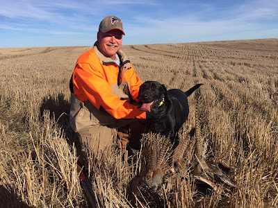 bird dogs and bird hunting