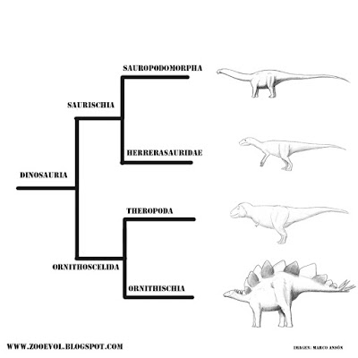 Herrerasaurio El Dinosaurio De La Semana