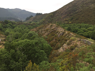 Spain, Marronda forest and the Eo River   by E.V.Pita (2015)  http://evpita.blogspot.com/2015/06/spain-marronda-forest-and-eo-river.html   Fraga de Marronda - río Eo (Baleira, Lugo)  por E.V.Pita (2015)