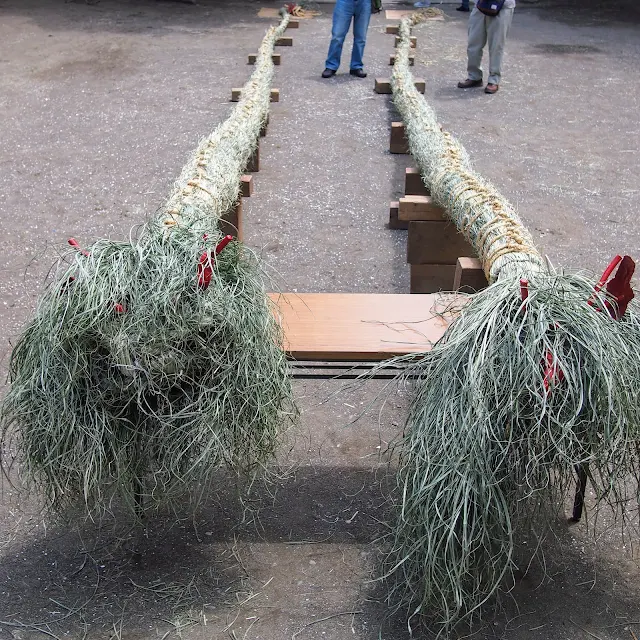 生麦　道念稲荷神社　蛇も蚊も