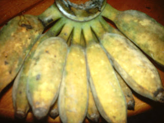Embun ♥ Kaseh ♥ Rosaliza: SIRA PISANG