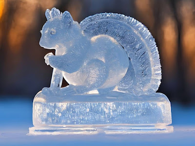 Squirrel Sciurus ice winter snow frost garden tree plant сад дерево flower grow цветок растение vegetable fruit выращивание огород seeds grass многолетние berry growing семена landscaping planting трава gardening perennial посадка cultivation shrub фрукт ягода куст озеленение многолетник овощеводство садоводство