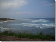 Maui_DB_Day320033