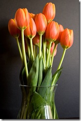 tulips-in-vase1