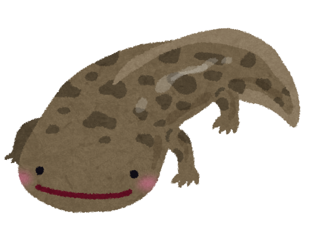 オオサンショウウオ 大山椒魚のイラスト かわいいフリー素材集 いらすとや