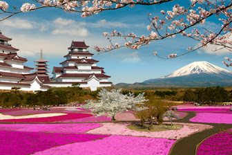 Experience the charm of Japan’s Spring