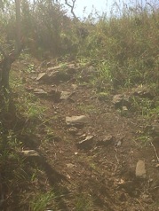 IMG00168-20110424-1303-2011-04-30-14-54.jpg
