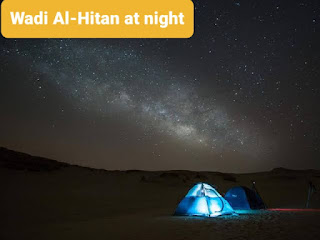 Camping and safari in Wadi El Hitan سماء وادي الحيتان ليلا      معلومات عن وادي الحيتان All we need to know about Wadi Al-Hitan