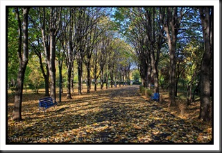 This_Fall_3_online_