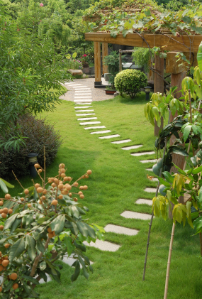 Home Landscaping Ideas on Landscaping Ideas For Your Home