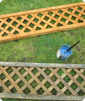 IMG_2741 IMG_2741