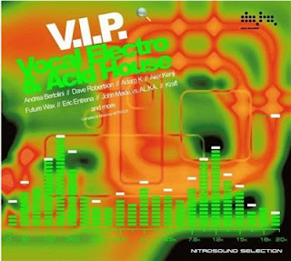 V.I.P. Vocal Electro & Acid House