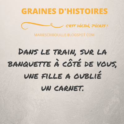 Dans un train, sur la banquette à côté de vous, une jeune fille a oublié un carnet.