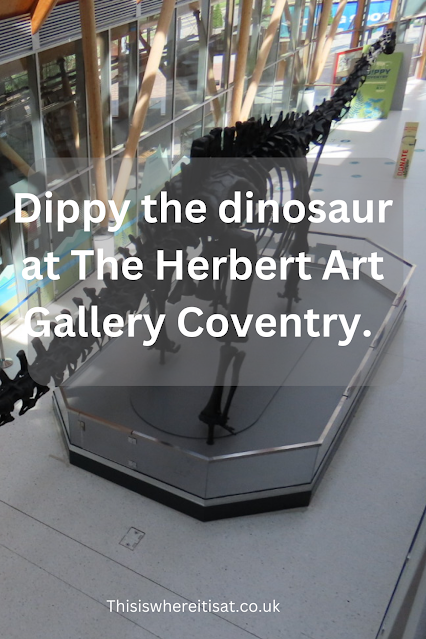 Dippy the dinosaur at The Herbert Art Gallery Coventry.