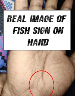 REAL FISH SIGN ON HAND