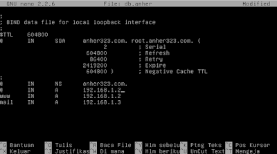 setting DNS Server