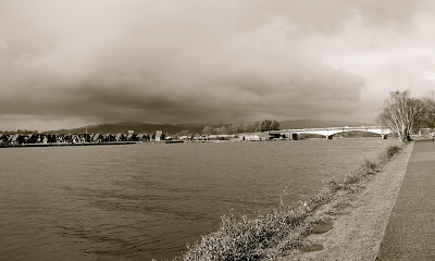 Photography: Juan Castro Bekios, Calle-Calle River, Valdivia, Chile