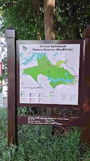 Pengalaman Jalan-Jalan di MacRitchie Nature Trails, Singapura
