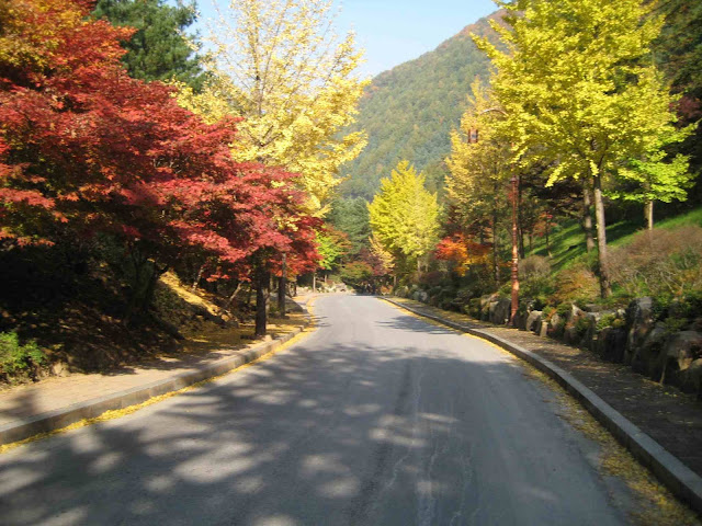 Autumn In Korea4