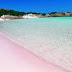 PINK BEACH INDONESIA: PARADISE ON EARTH FLAKES