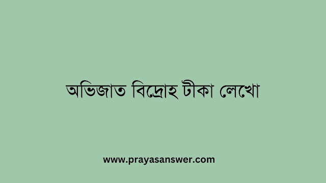 অভিজাত বিদ্রোহ টীকা লেখো