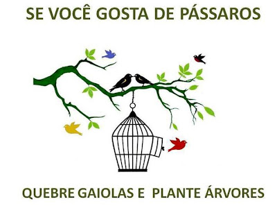 se você gosta de pássaros, quebre gaiolas e plante árvores