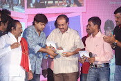 Nenu Naa Friends Audio release function-thumbnail-7