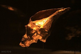 IMG_5466-001