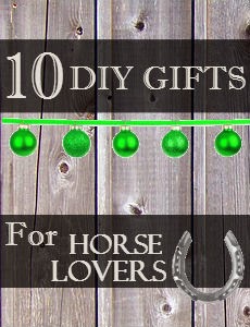 Top 10 DIY Gifts for Horse Lovers | Savvy Horsewoman