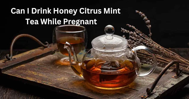 Can-i-drink-honey-citrus-mint-tea-while-pregnant