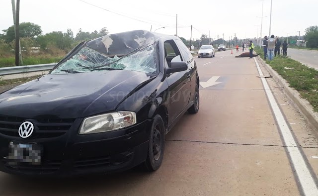 Un caballo suelto provoco un accidente sobre Ruta Provincial N°1