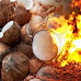 హోళికా దహనంలో కొబ్బరి కాయలు కాల్చే సాంప్రదాయం | The tradition of burning coconuts in Holika Dahanam
