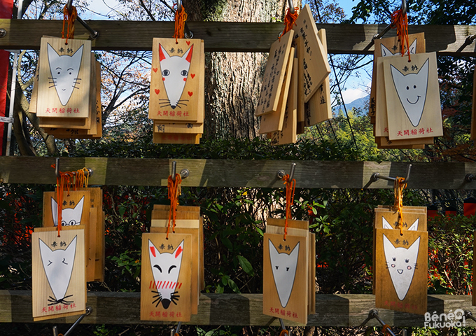 Ema, Tenkai Inari - Dazaifu, Fukuoka