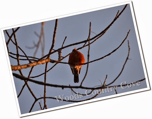 SPRING 2013 (1 of 1)-32