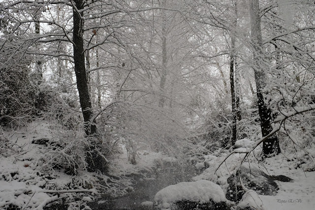 Cascada de nieve, Jerez del Marquesado