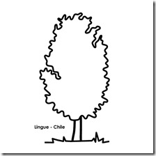 lingue chile 1