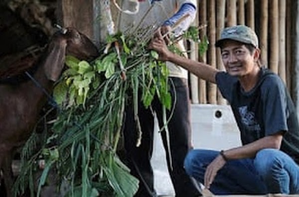 Dwi Handoko, “Banteng” dari Blitar Selatan